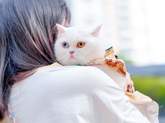 -OCT PARK欢乐时光