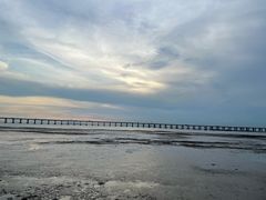 -宝安西湾红树林湿地公园