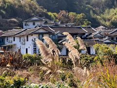 -福建土楼（华安）旅游区•大地土楼群