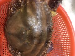 -爷爷的草帽·海鲜馆(孙塘路店)