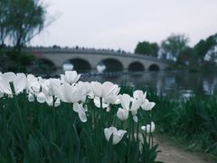 -玄武湖景区-情侣园游乐场