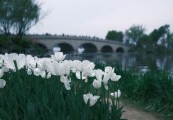 点击看大图 -玄武湖景区-情侣园游乐场