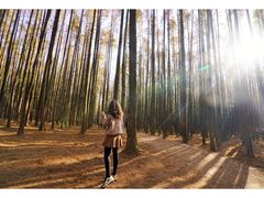 -山王坪喀斯特国家生态公园