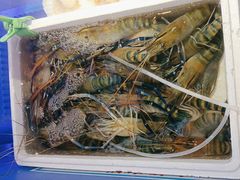 -倍儿美海鲜大排挡·非遗海鲜蒸饺(洋货店)