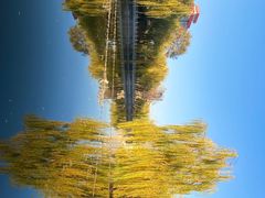 -文瀛公园