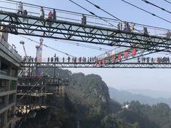 -梦幻奥陶纪景区