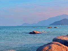 -花海间·即刻露营
