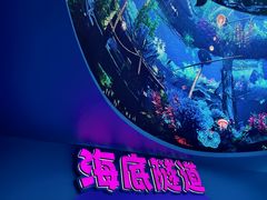 -哈尔滨极地公园