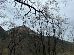 -泰山风景名胜区