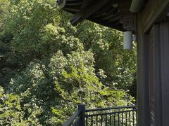 -杭州半山国家森林公园