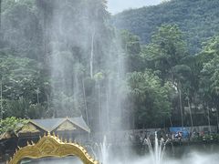 -西双版纳原始森林公园