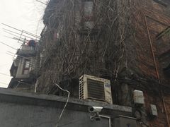 -小杨生煎(湟普汇店)