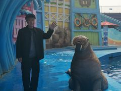 -华夏文旅海洋公园