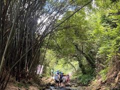 -南海湾森林生态园