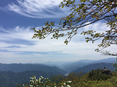iphone_upload_pic-牛背梁国家森林公园