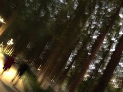 -范蠡湖公园
