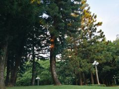 -人民公园(罗湖区)