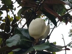 -洪湖家庭农场·团建·露营·会议