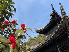 -九龙潭景区
