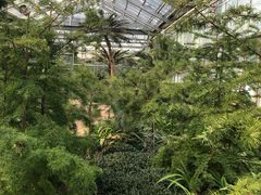 -北京植物园-展览温室