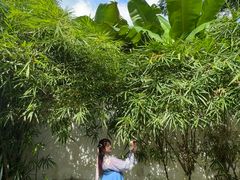 -深圳国际园林花卉博览园