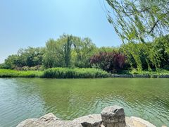 -大兴滨河森林公园