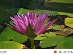 -中国科学院华南植物园
