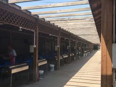 -亲兄弟真人CS团建拓展基地