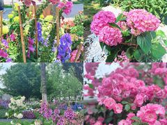 -武汉园博园(武汉自然博物馆)