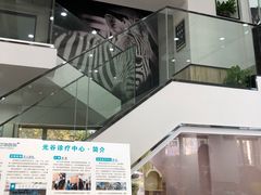 -联合动物医院(光谷诊疗中心)