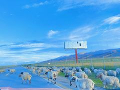 -青海湖国家重点风景名胜区