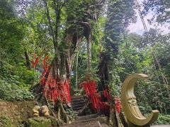 -七仙岭温泉国家森林公园