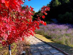 -云峰山自然风景区