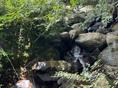 -藏龙百瀑风景区