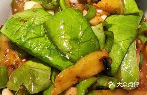Organic Green Eggplant