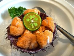 海胆-奕景海鲜酒家· 大连海鲜(星海广场店)