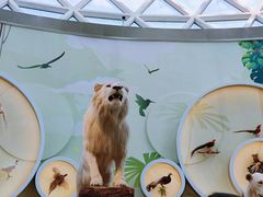 -陕西自然博物馆