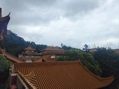 -深圳仙湖植物园