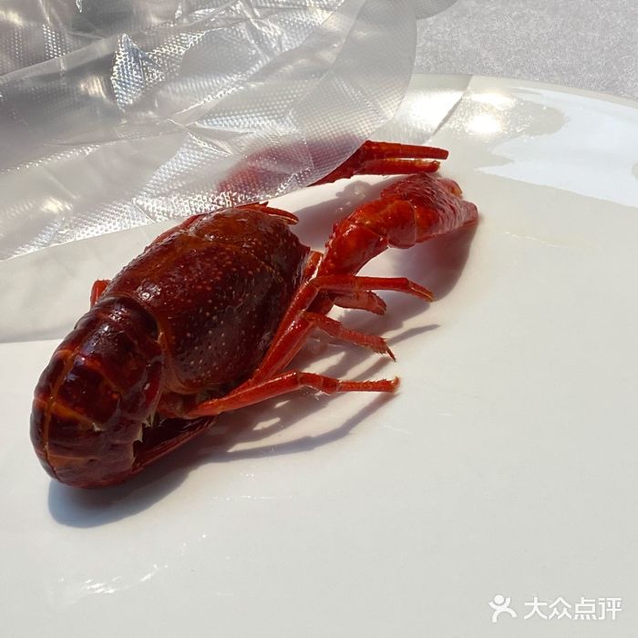 洪福龙虾图片