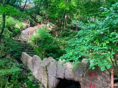 -天女山森林公园