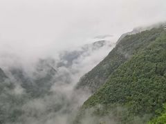 -武陵山森林公园