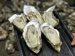 -蚝美人·生蚝海鲜烧烤(茶花园店)