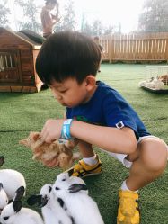 -萌宠亲子动物乐园(槐房万达店)