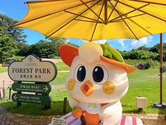 -济州森林小火车生态公园