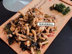 观音茶香菌-纳地素食(石门公园店)
