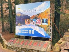 -四明山国家森林公园
