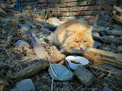 -北京西山国家森林公园