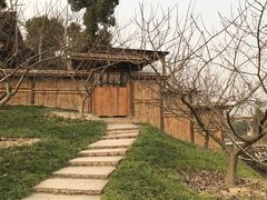 -秀丽东方