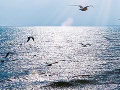 -金梦海湾浴场
