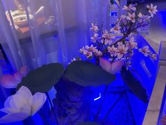 -庭院江南菜•烤鸭•非遗传承(丰台总部基地店)